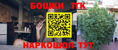 сатива Краснознаменск