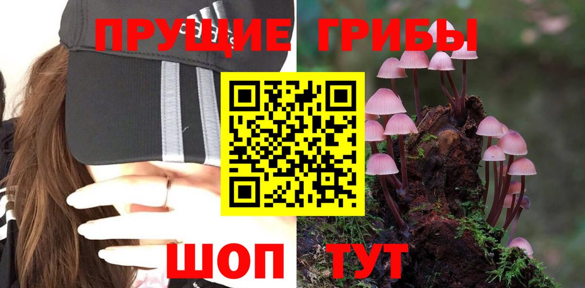 Псилоцибиновые грибы Cubensis Ирбит